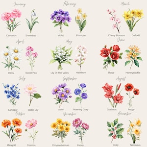 Op de afbeelding: Een aquarel illustratie van verschillende bloemen die elke maand van het jaar vertegenwoordigen. De afbeelding bevat Anjer, Sneeuwklokje, Viooltje, Sleutelbloem, Kersenbloesem, Narcis, Madeliefje, Lathyrus, Lelietje-van-dalen, Meidoorn, Roos, Kamperfoelie, Ridderspoor, Waterlelie, Aster, Windebloem, Gladiool, Papaver, Goudsbloem, Kosmos, Chrysant, Pioenroos, Hulst en Narcis.