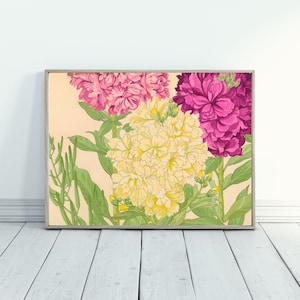 Stock Flower Japanese Wood Block Print Stock Flower Painting Japanese Floral Wood Block Ukiyo-e Tanigami Konan Digital Art Matthiola Incana