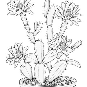 Easter cactus coloring page, coloring page, cactus coloring, flower coloring, flower, cactus, printable, digital download, pdf