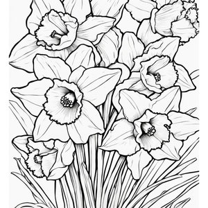 Daffodil coloring page, coloring page, flowers, flower coloring, Daffodil, printable, digital download, pdf