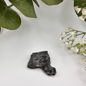 Könnte beinhalten: Ein dunkles, strukturiertes Mineralexemplar, hauptsächlich schwarz mit Grau- und Grüntönen, liegt auf einem weißen Hintergrund. Das Bild wird von grünen Eukalyptusblättern und kleinen weißen Blüten umrahmt, was eine natürliche Ästhetik erzeugt.