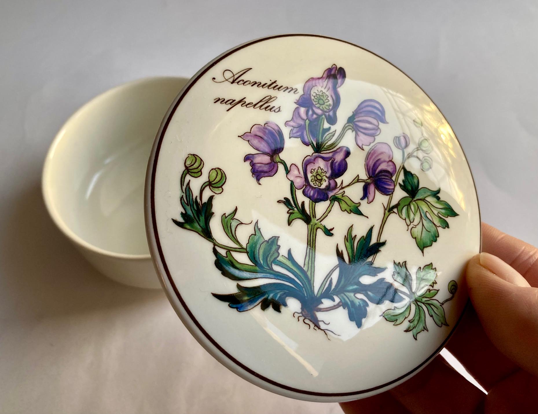Villeroy boch botanica - Etsy 日本