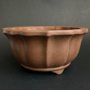 May include: A brown ceramic bonsai pot with a fluted design. The pot has a wide, shallow bowl shape with a slightly flared rim and three small feet. The exterior has a textured surface.
