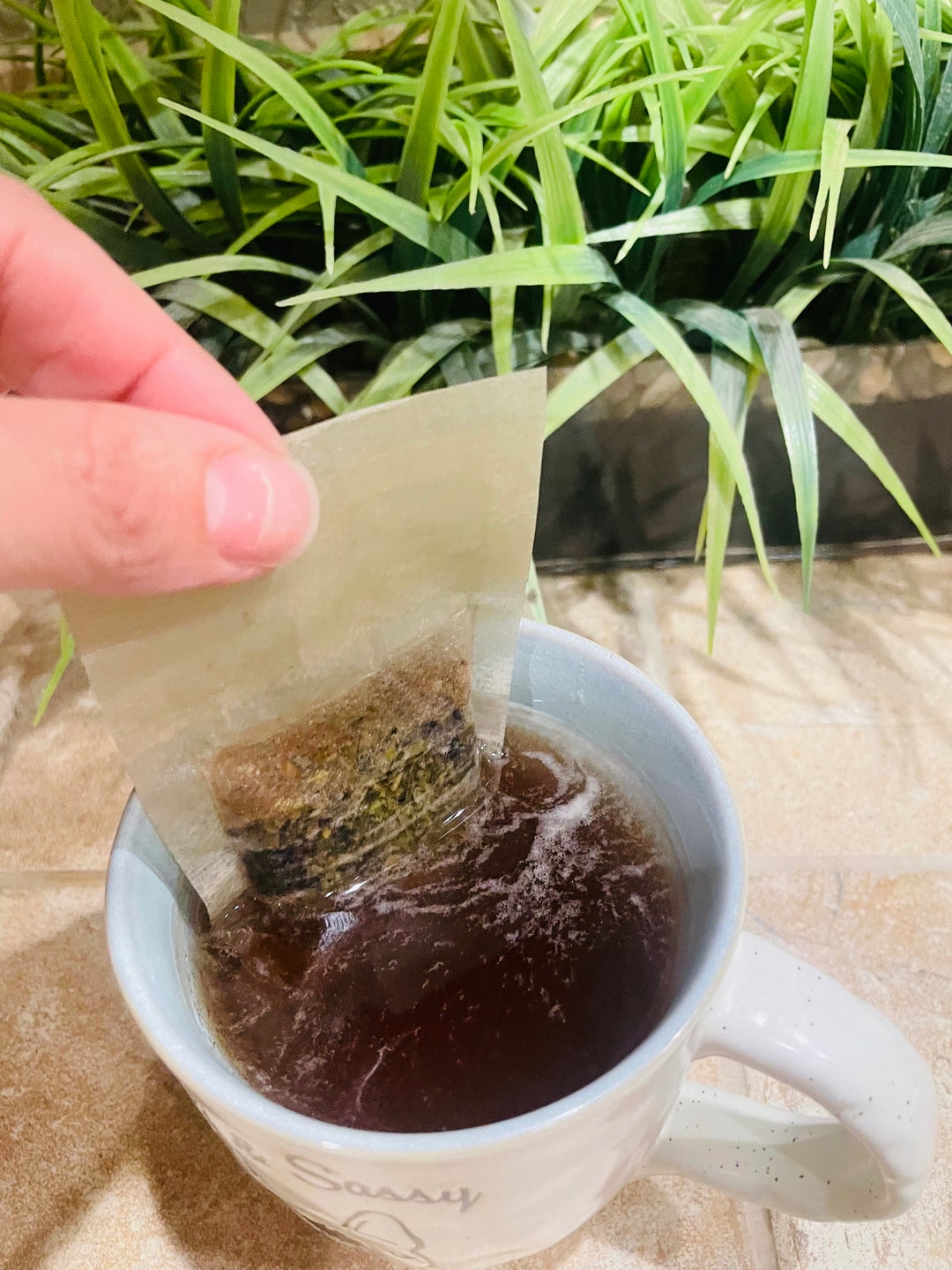 Elderberry Green Tea Packs Etsy