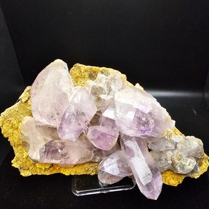 Vera Cruz amethyst cluster on natural matrix