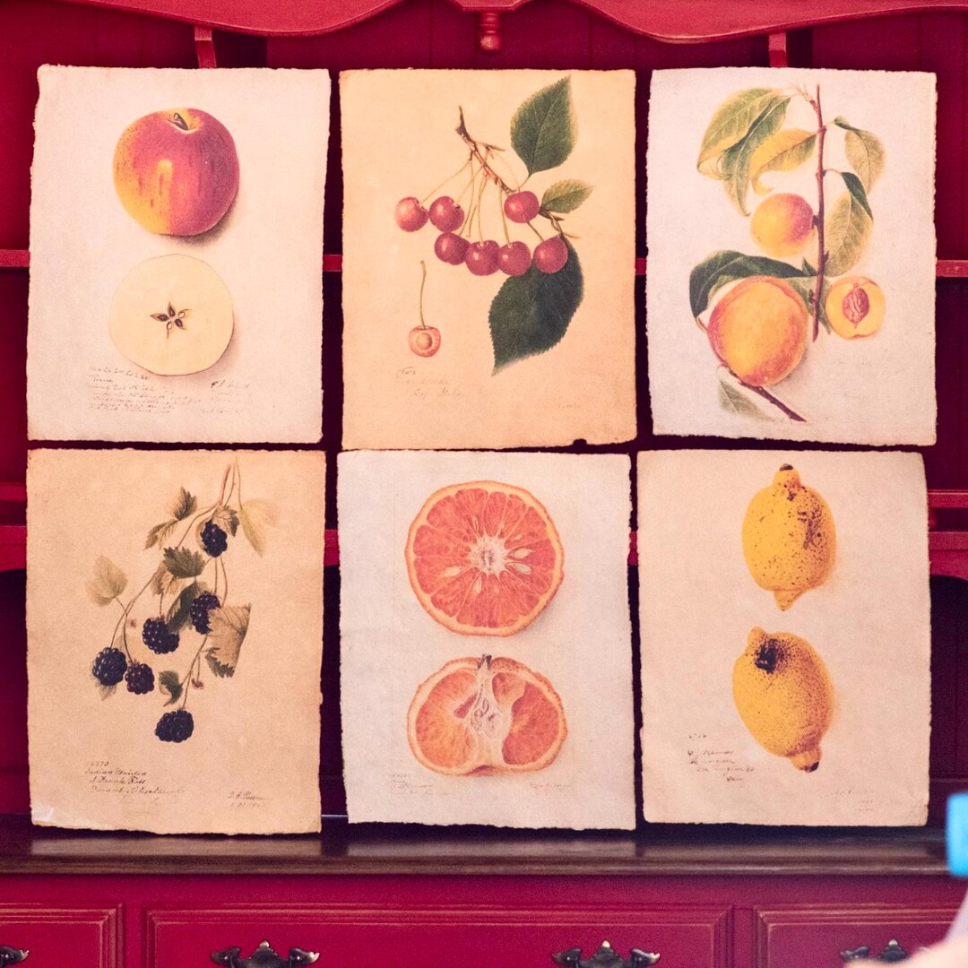 Vintage Kitchen Fruit Art, Antique Kitchen Prints, Farmhouse Decor ...