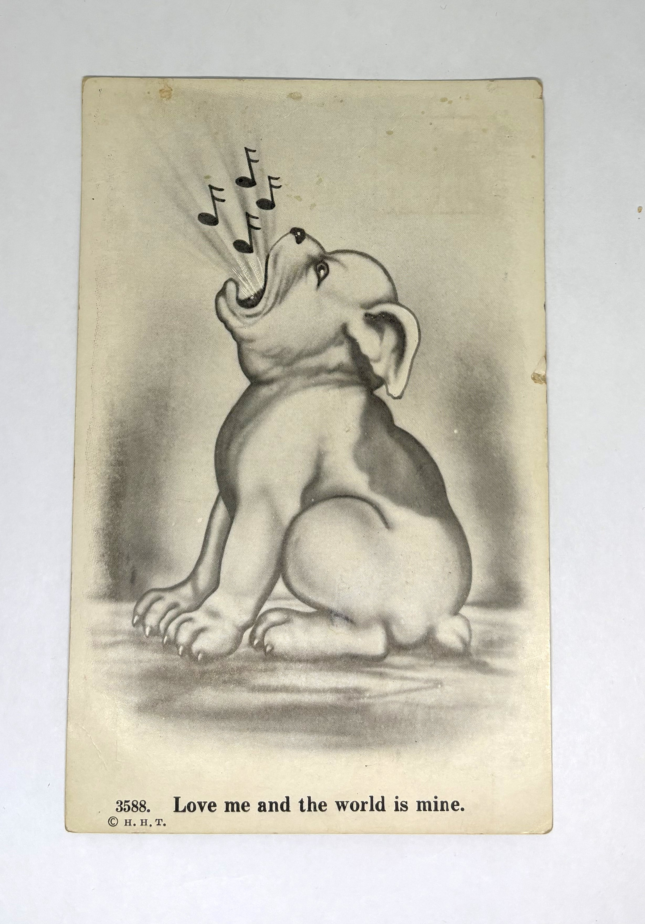 Beautiful USED Antique 1913 Postcard with Bulldog German writing
