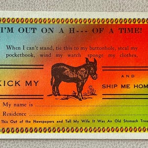 carte postale humoristique vintage botte-moi le cul avec un âne de maison excellent état
