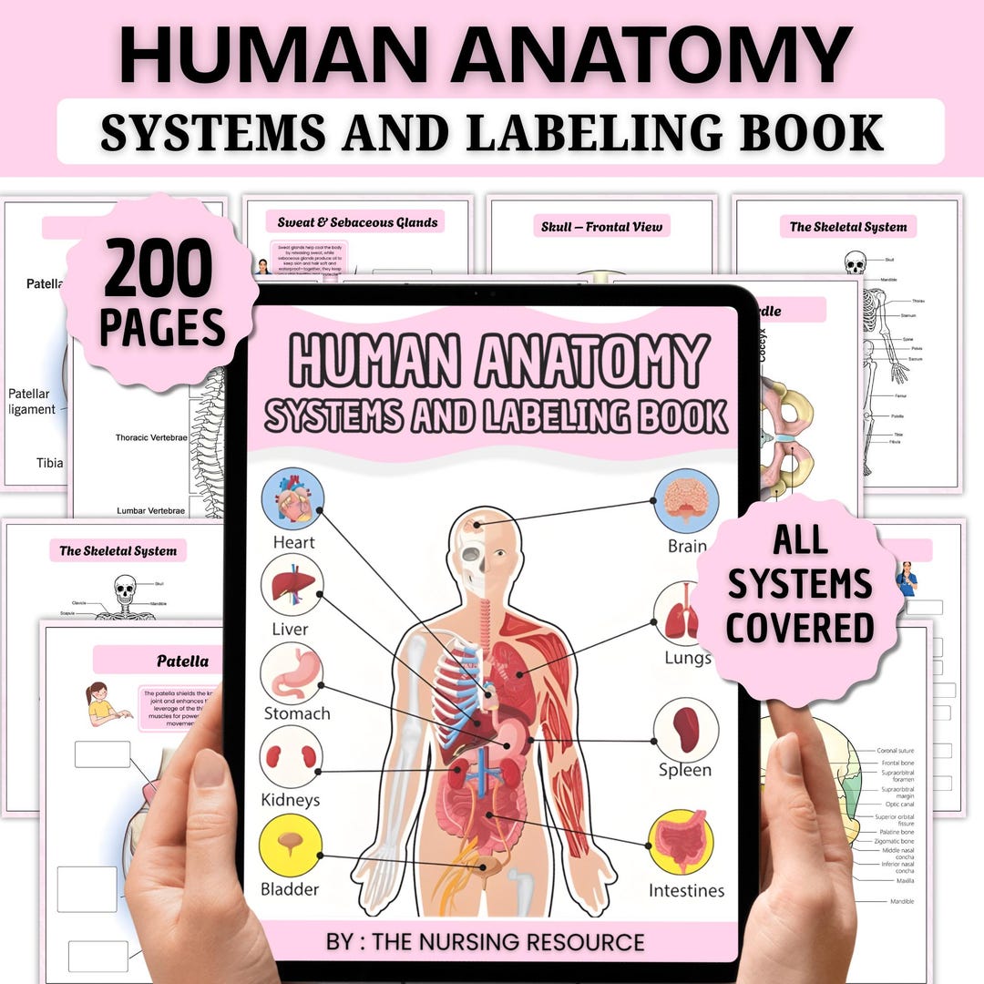 Human Anatomy System Labeling Book | Anatomy & Physiology Study Guide ...