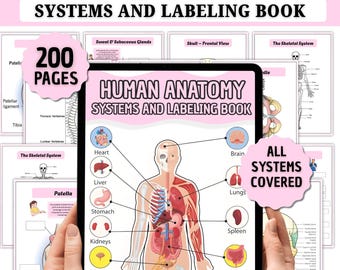 Märkningsbok för mänsklig anatomi | Studiehandledning för anatomi och fysiologi | Anteckningar för sjuksköterskeskolan | Digital + Utskrivbar