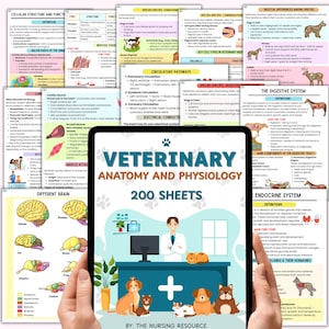 Veterinary Anatomy & Physiology Study Sheets | Veterinary Nurse | Animal Anatomy | Vet Study Notes | Anatomy Study Guide | 200 Sheets
