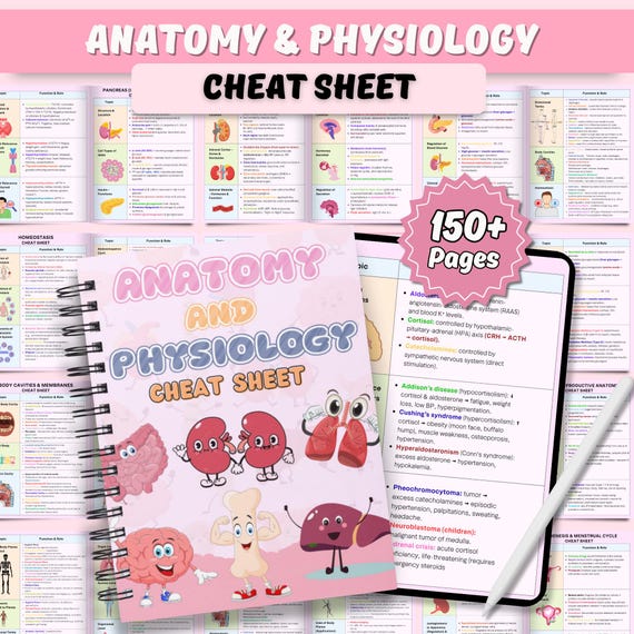 Anatomy and Physiology Cheat Sheet | Human Anatomy Study | Anatomy Notes | A&P Study Notes | Nursing Student | PDF
