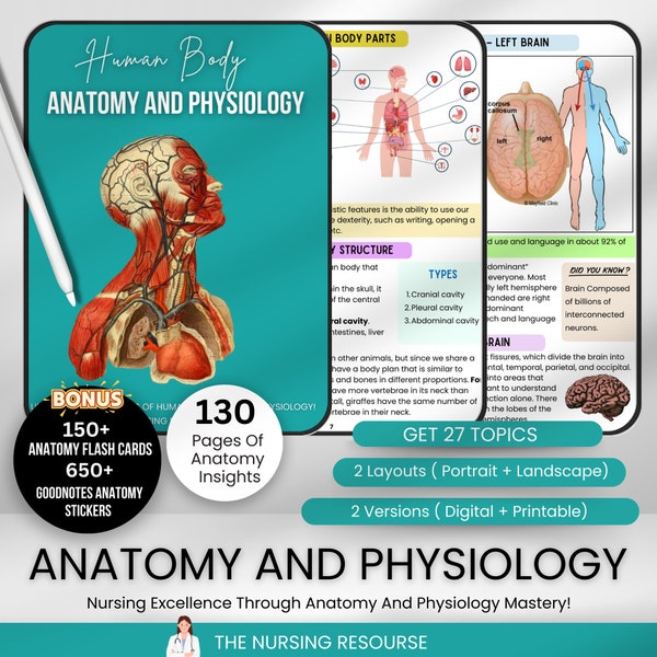 Anatomy & Physiology Bundle Fully Hyperlinked | Anatomy Study Guide | Anatomy Nursing | Anatomy Flashcards | Nursing Notes | 2024-25 Edition