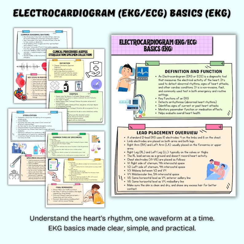 Medical Assistant Notes & Cheat Sheet Bundle | Nursing Notes | Digital ...