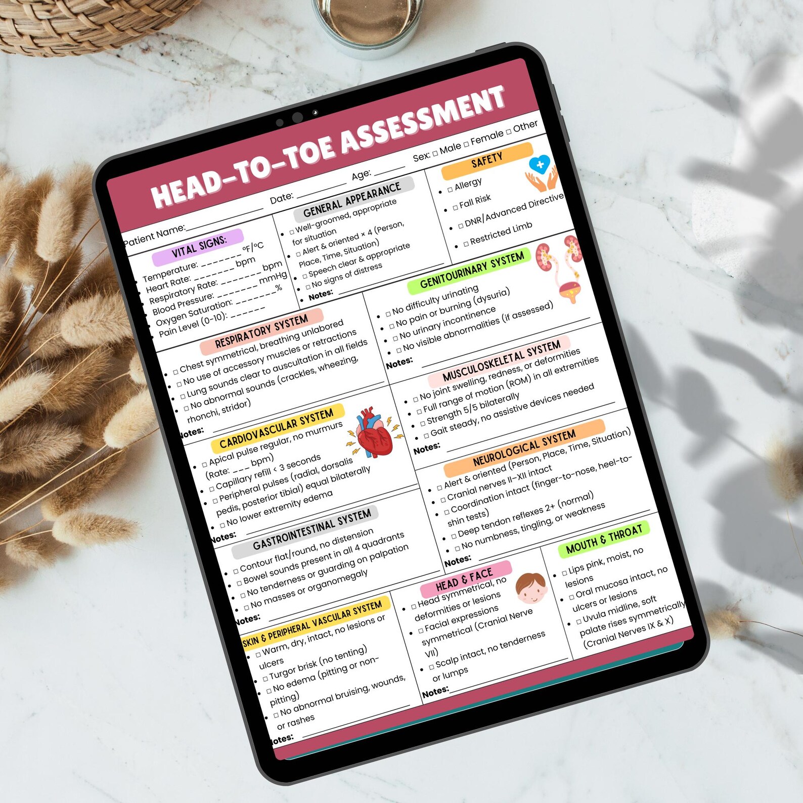 Head to Toe Assessment Template | Nursing Study Guide | PDF - Etsy