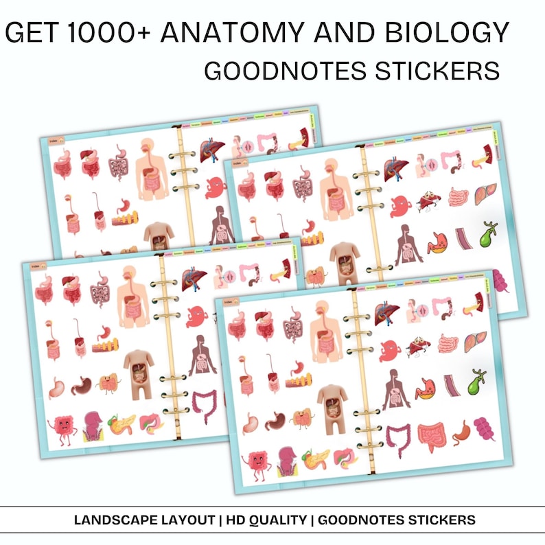 K&ouml;nnte beinhalten: Drei Seiten mit Goodnotes-Stickern mit Illustrationen der menschlichen Anatomie und des Verdauungssystems. Die Sticker sind im Querformat und f&uuml;r die Verwendung mit der Goodnotes-App konzipiert.