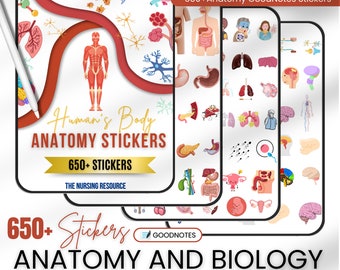 900+ Anatomy & Biology Stickers | Anatomy Stickers | Goodnotes Stickers ...