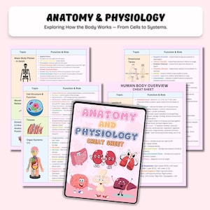 Fusklapp i anatomi och fysiologi | Studier i mänsklig anatomi | Anatomianteckningar | A&P-studieanteckningar | Sjuksköterskestudent | PDF bild 3