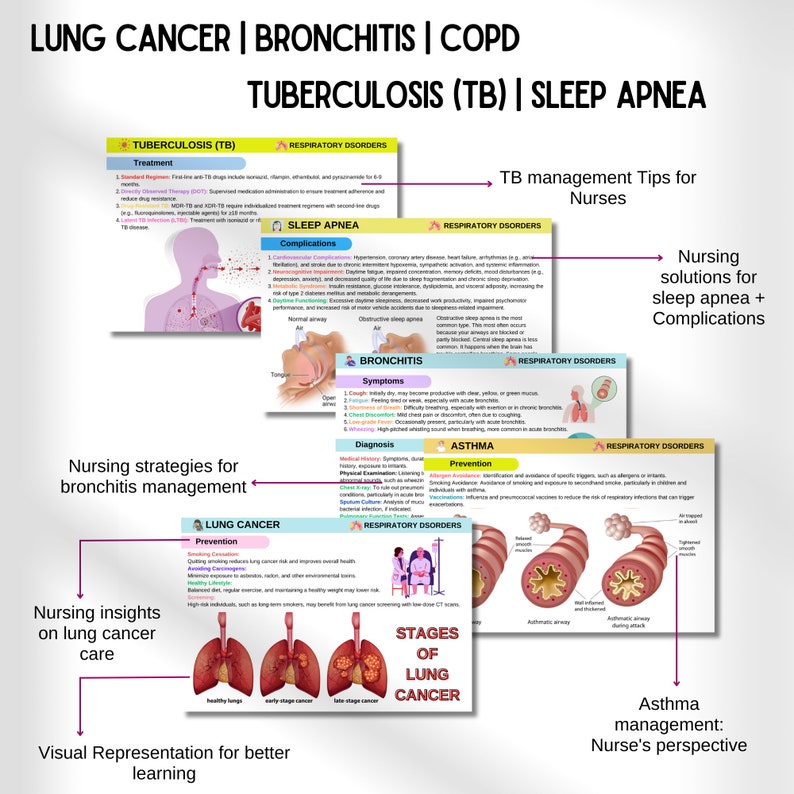 K&ouml;nnte beinhalten: Eine farbenfrohe Infografik mit Illustrationen von Lungen und Text &uuml;ber Lungenkrebs, Bronchitis, COPD, Tuberkulose, Schlafapnoe und Asthma. Die Infografik enth&auml;lt Informationen &uuml;ber die Behandlung, Pr&auml;vention und das Management dieser Atemwegserkrankungen.