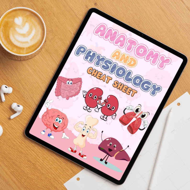 Fusklapp i anatomi och fysiologi | Studier i mänsklig anatomi | Anatomianteckningar | A&P-studieanteckningar | Sjuksköterskestudent | PDF bild 8