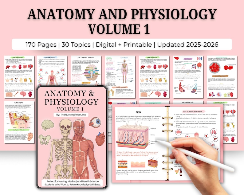 Anatomy and Physiology 1 Study Guide | A and P Study Guide | Human ...