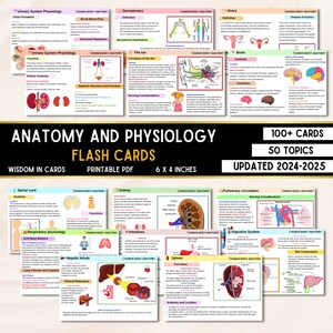 100+ Anatomy and Physiology Flashcards | Anatomy Study Guide | Nursing Notes | Anatomy Flashcards | Anatomy Nursing | Nursing Study Guide