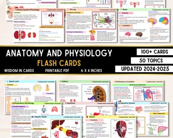 Más de 100 tarjetas didácticas de anatomía y fisiología / Guía de estudio de anatomía / Notas de enfermería / Tarjetas didácticas de anatomía / Enfermería de anatomía / Guía de estudio de enfermería