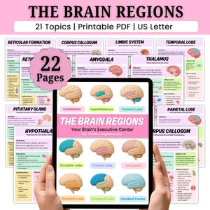 May include: A digital print titled "The Brain Regions" with 21 topics, available as a printable PDF in US Letter size. The image shows a tablet displaying brain diagrams and text, including "22 Pages" and various brain region names.
