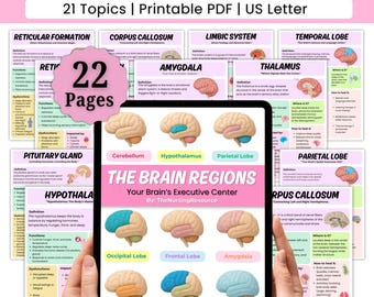 Le regioni del cervello e le loro funzioni / Anatomia del cervello / Cervello umano / Parti del cervello / Schede di lavoro di neuropsicologia / Guida allo studio delle parti del cervello