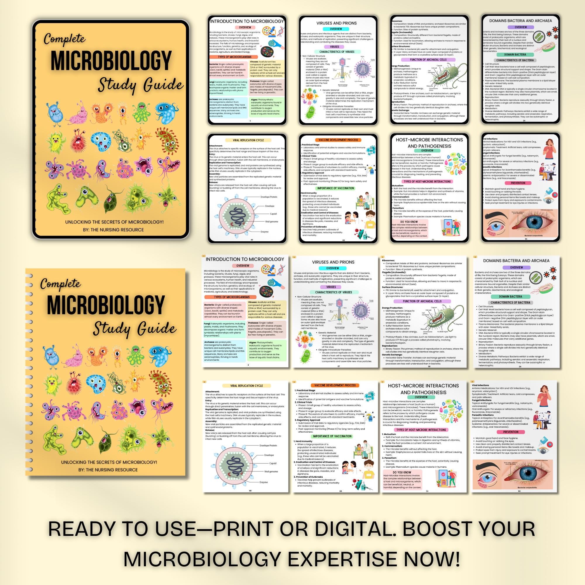 Microbiology Study Guide Fully Hyperlinked With Flashcards And