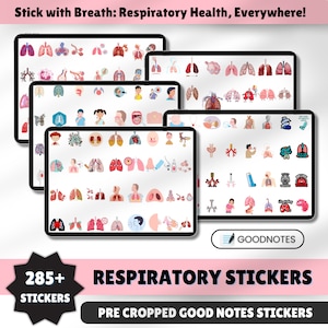 May include: A set of 285+ digital stickers for Goodnotes featuring illustrations of the respiratory system, including lungs, bronchi, alveoli, and other related anatomy. The stickers are pre-cropped and ready to use in your digital notes.