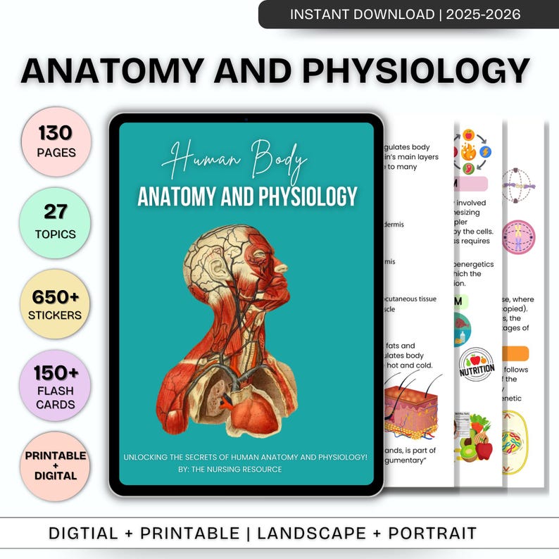 K&ouml;nnte beinhalten: Ein digitaler Download einer druckbaren Anatomie- und Physiologie-Ressource f&uuml;r Studenten. Die Ressource umfasst 130 Seiten, 27 Themen, &uuml;ber 650 Sticker, &uuml;ber 150 Lernkarten und ist sowohl in druckbarer als auch in digitaler Form verf&uuml;gbar. Das Cover zeigt eine Illustration des menschlichen K&ouml;rpers.