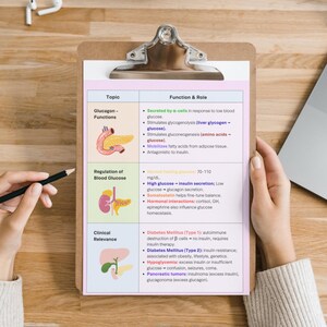 Fusklapp i anatomi och fysiologi | Studier i mänsklig anatomi | Anatomianteckningar | A&P-studieanteckningar | Sjuksköterskestudent | PDF bild 7