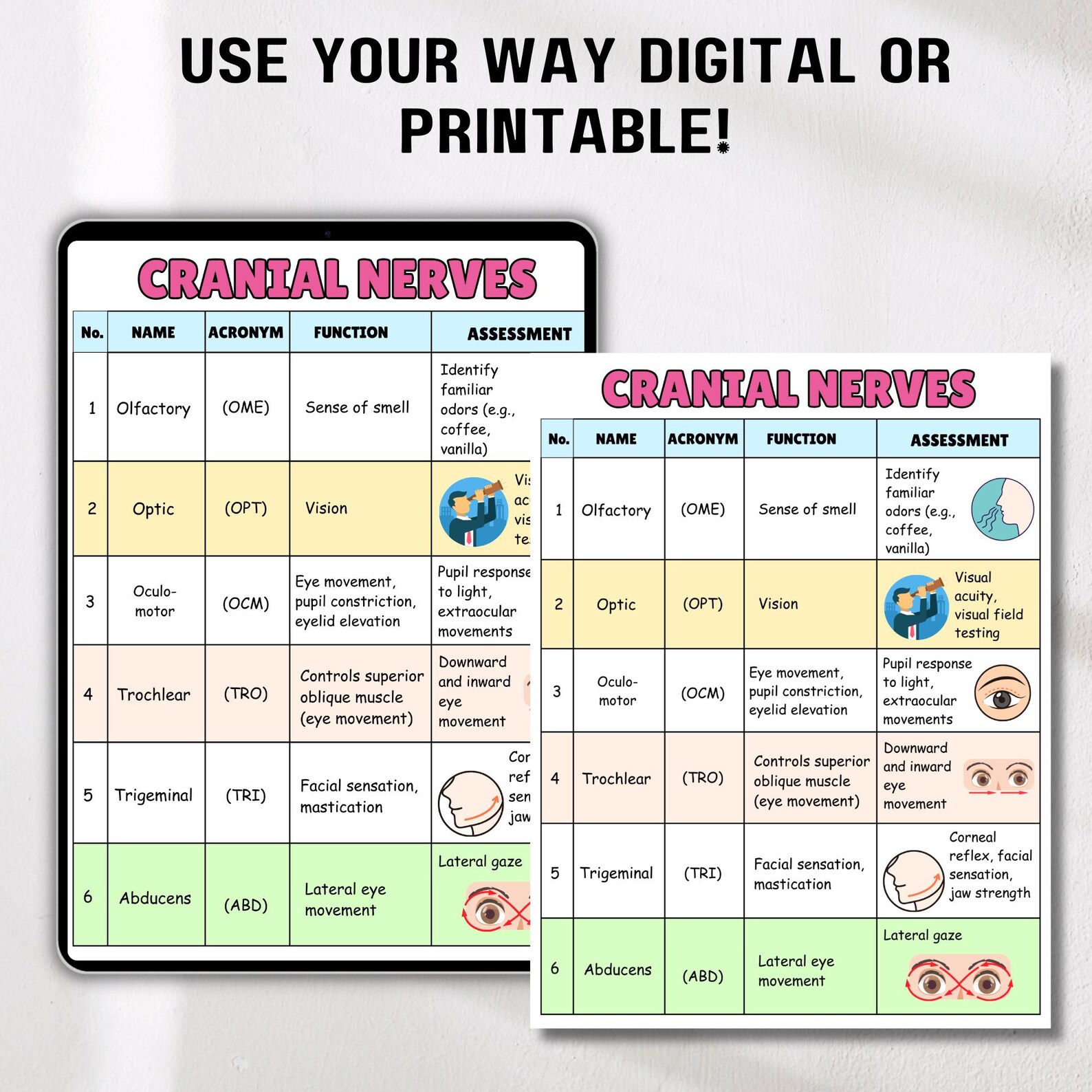 Cranial Nerves Notes | Nursing Student | Study Guide | Nurse Cheat ...