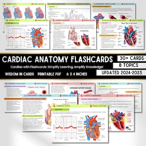 Cardiale anatomie Flashcards | Cardiovasculair systeem | Hartanatomie | Verplegingsnotities | Cardiovasculaire aantekeningen | Studiegids The Nursing Resource
