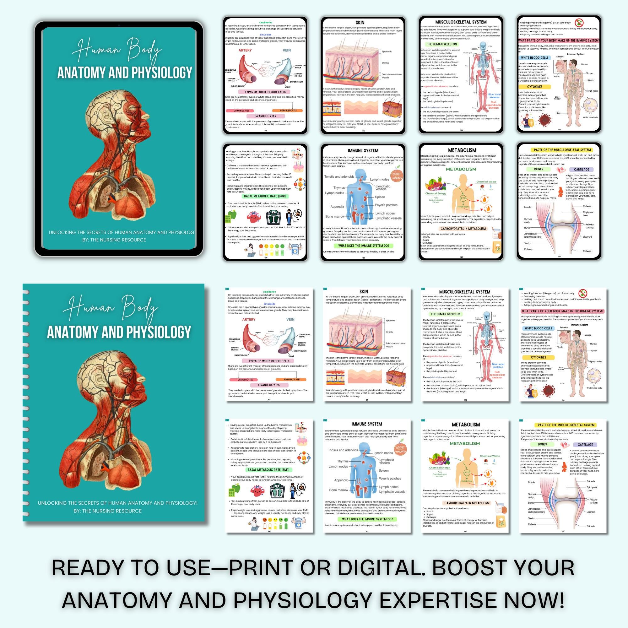 A&P Flash Cards Anatomy & Physiology Flashcards For Nursing Students