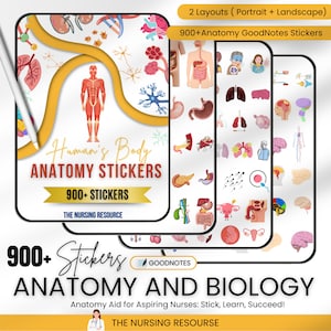 Über 900 Anatomie- und Biologie-Aufkleberpaket | Anatomie-Aufkleber | GoodNotes-Aufkleber | Medizinische Aufkleber | Vorgeschnittene Aufkleber für den menschlichen Körper