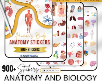 900+ Anatomy & Biology Stickers Bundle | Anatomy Stickers | GoodNotes Stickers | Medical Stickers | Pre-Cropped Human Body Stickers
