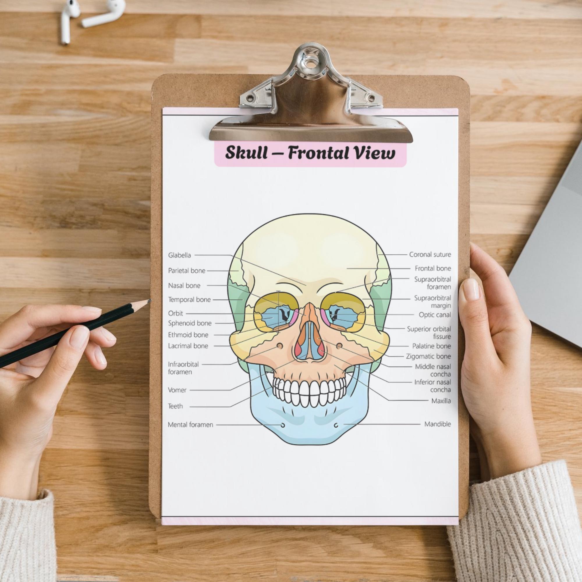 Human Anatomy System Labeling Book | Anatomy & Physiology Study Guide ...