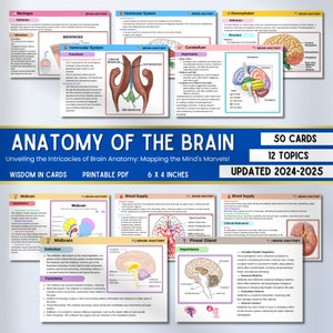 Anatomie van een brein Flashcards | Anatomie van de hersenen | Anatomische opmerkingen | Verplegingsnotities | Studiegids | Direct downloaden | De bron voor verpleegkundigen
