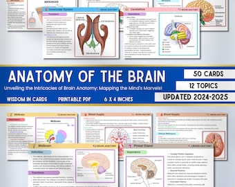 Anatomie Eines Gehirns Karteikarten | Anatomie des Gehirns | Anatomie Notizen | Pflegehinweise | Studienführer | Sofortdownload | Die Pflegeresultat