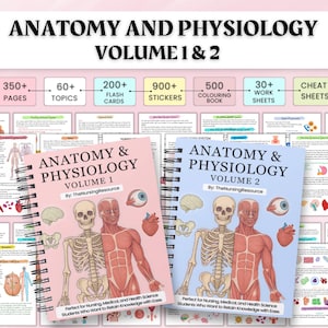 May include: Anatomy and Physiology Volume 1 & 2 study guides. The covers are pink and blue with illustrations of the human anatomy. The guides include 350+ pages, 60+ topics, 200+ flash cards, 900+ stickers, 500 coloring books, 30+ work sheets, and cheat sheets.