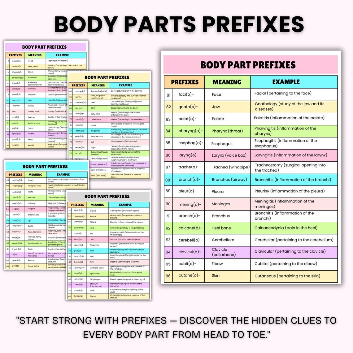 Complete Medical Terminology Prefixes & Suffixes Study Guide | Medical ...
