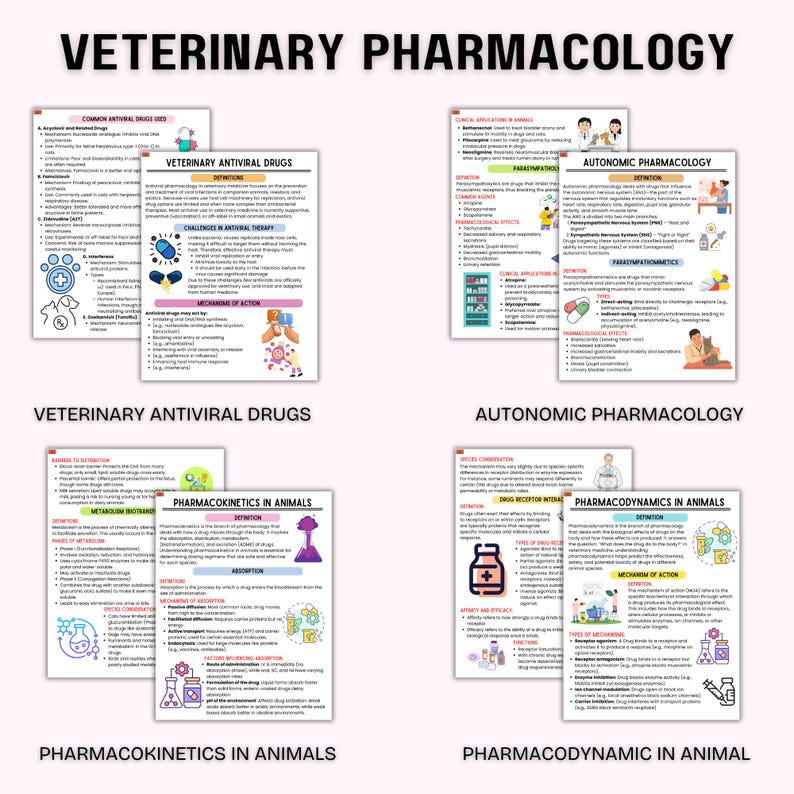 Studieanteckningar för veterinärfarmakologi | Tekniska anteckningar för veterinärmedicin | Studiehandledning för djursjuksköterska | Veterinärmedicin bild 5