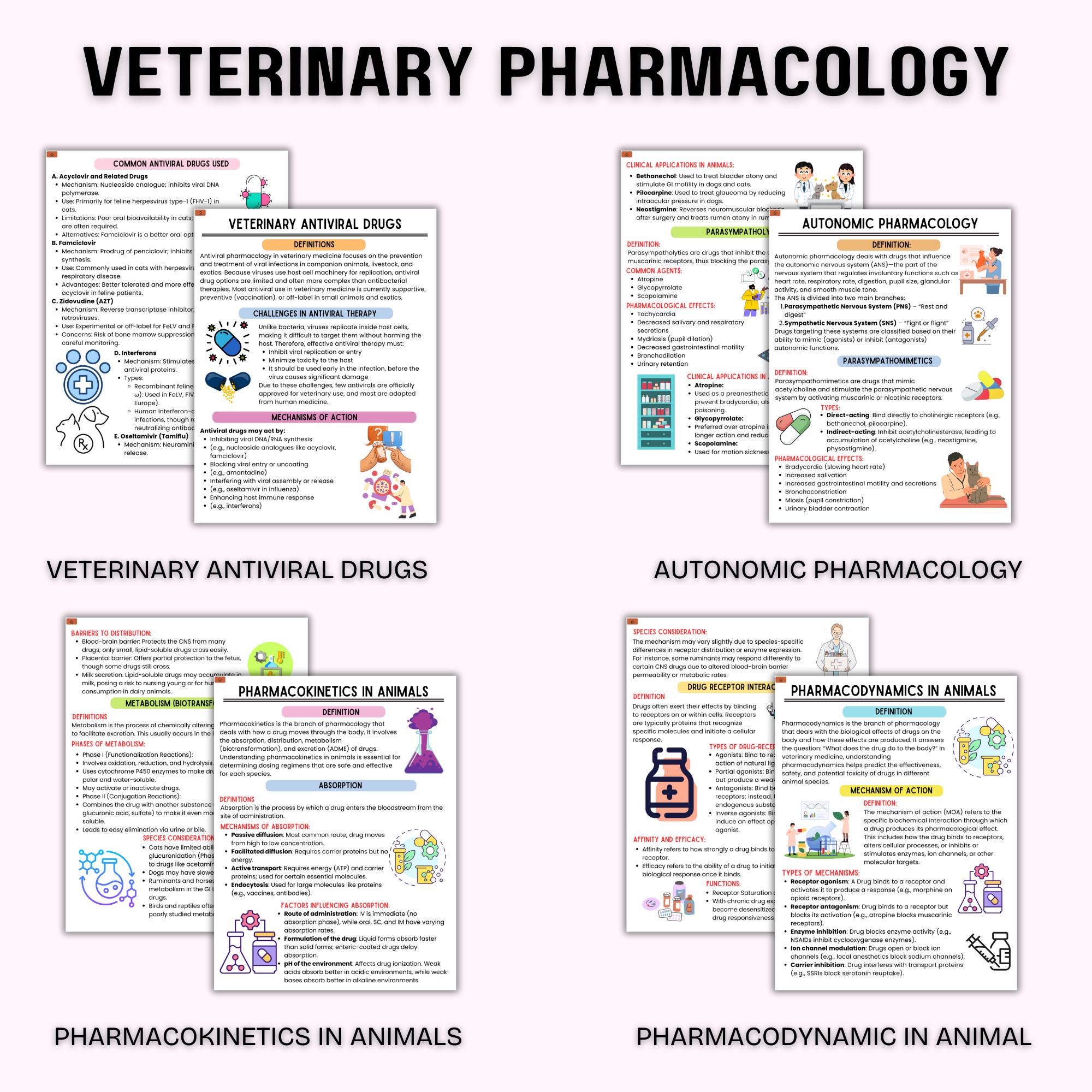 Veterinary Tech Notes Veterinary Pharmacology Study Notes | Vet Tech Notes | Veterinary ...