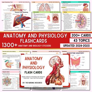200+ Anatomy and Physiology Flashcards with Goodnotes Stickers | Anatomy Notes | Anatomy Study Guide | Anatomy Nursing | Physiology Notes