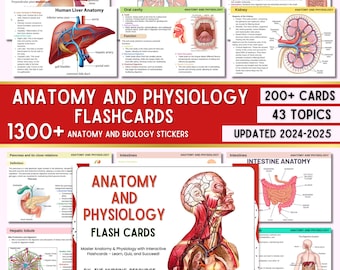 Oltre 200 schede didattiche di anatomia e fisiologia con adesivi Goodnotes / Appunti di anatomia / Guida allo studio di anatomia / Anatomia infermieristica / Appunti di fisiologia