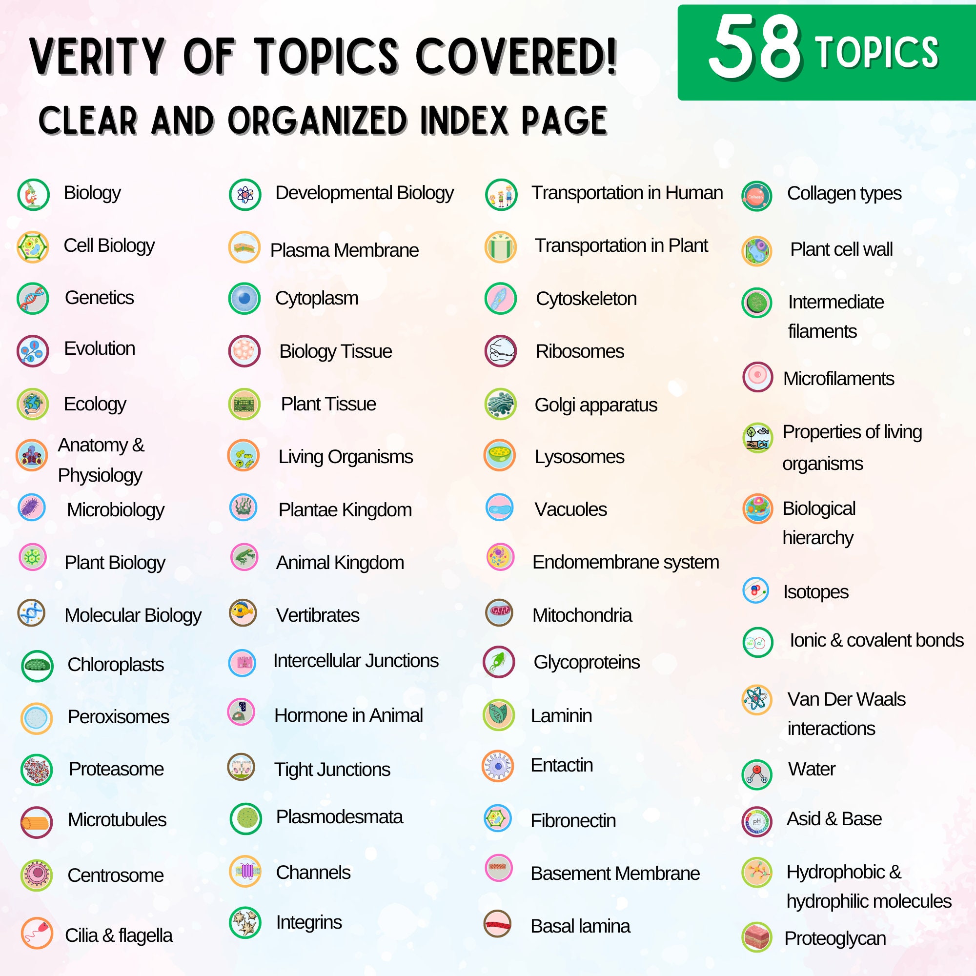 170+ Biology Flashcards Bundle | Biology Notes | Study Guide | Biology ...