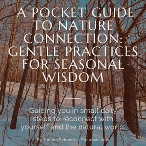 Puede incluir: Una escena de bosque nevado con árboles desnudos y una superposición de texto que dice "A Pocket Guide to Nature Connection: Gentle Practices for Seasonal Wisdom. Guiding you in small daily steps to reconnect with yourself and the natural world. By Tamara Schmidt at Fleurbain.com"