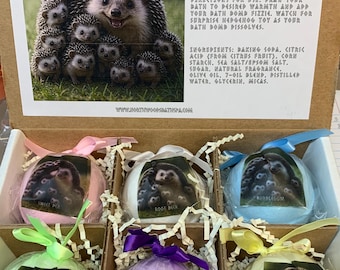 Six Little Hedgehogs 6-pack XL 5.5 oz Bath Bomb Gift Set for Kids